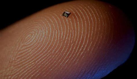 study-finds-1-3-americans-implanted-rfid-chips-unaware|Microchips in humans: consumer.